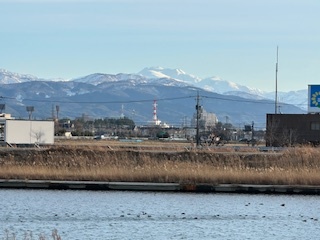 IMG_8860
